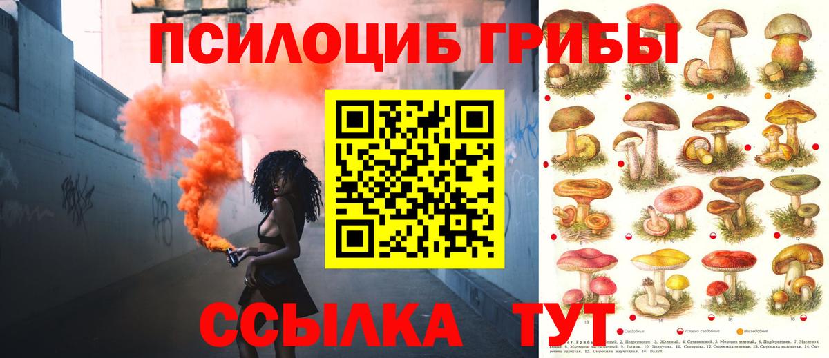 Галлюциногенные грибы Magic Shrooms Сатка